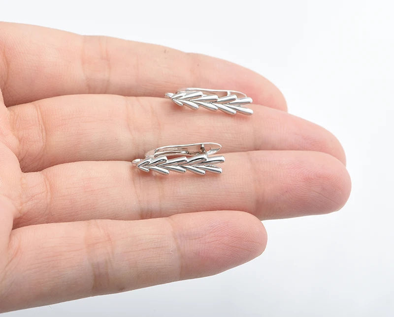 Silver Color Brass Earring Hooks for DIY Jewelry Making Handmade Silver Color Jewelry Accessories Findings Wholesale Eawires